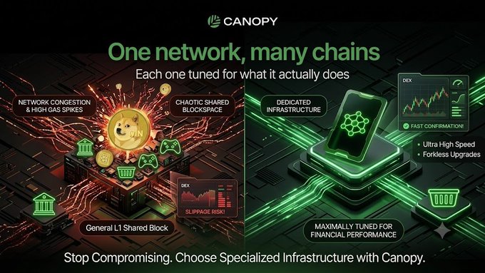 Marketing graphic for Canopy titled 'One network, many chains - Each one tuned for what it actually does,' contrasting general L1 blockchain issues with Canopy's specialized infrastructure for financial performance.