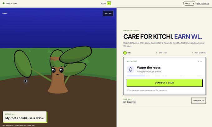 Web3 dApp screenshot titled 'CARE FOR KITCHI. EARN WL.' showing a cartoon plant needing water, with a 'CONNECT & START' button for the 'Water the roots' action on the Kitichi NFT project.