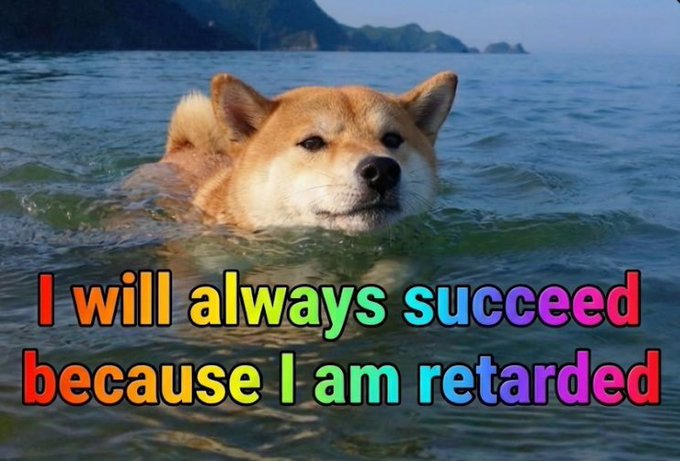 A Shiba Inu dog swims in ocean water with mountains visible in the background, overlaid with rainbow-colored text reading "I will always succeed because I am retarded."