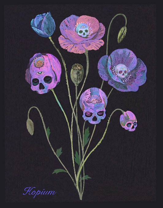 An illustration on a black background shows purple and pink flowers with stems and buds, where several of the flower heads and buds reveal human skulls inside them, with the word 'Hopium' written in cursive at the bottom.