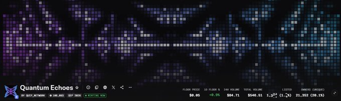 Cryptocurrency token page for 'Quantum Echoes' by DEEP_NETWORK, showing a floor price of $0.05 (+0.9%), 24h volume of $94.71, and total volume of $546.61 with a purple and blue pixelated banner.