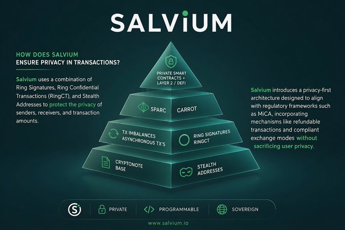 The image features a pyramid structure with three levels, each representing different aspects of privacy and security for transactions. The topmost level represents the concept of privacy, followed by the middle level which focuses on security, and finally the bottom level that deals with the technical aspect of the blockchain technology. The post highlights the importance of privacy in the context of Salvium ERC20 Bridge, a game-changing cryptocurrency that connects directly to Ethereum's Liquidity network while maintaining privacy through its use of Salvium ERC20 roots. This ensures both security and privacy for transactions within the blockchain ecosystem.