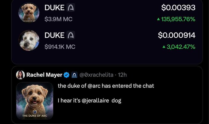 The image displays two DUKE memecoins with vastly different market caps—$3.9M MC at $0.000393 (+135,955.76%) and $914.1K MC at $0.000914 (+3,042.47%)—alongside a tweet from Rachel Mayer (@0xrachelita) reading "the duke of @arc has entered the chat / I hear it's @jerallaire dog," featuring "The Duke of Arc" dog image, illustrating how ARC is allegedly creating hype and FOMO around a memecoin tied to its founder, which the accompanying post criticizes as a manipulative scheme exploiting community enthusiasm.