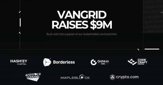 A dark promotional graphic announces "VANGRID RAISES $9M" with the tagline "Built with the support of our stakeholders and partners," displaying logos of the six investors below: HashKey Capital, Borderless, Gate.io Labs, Code Craft Capital, Animoca Brands, Mapleblock, and Crypto.com.
