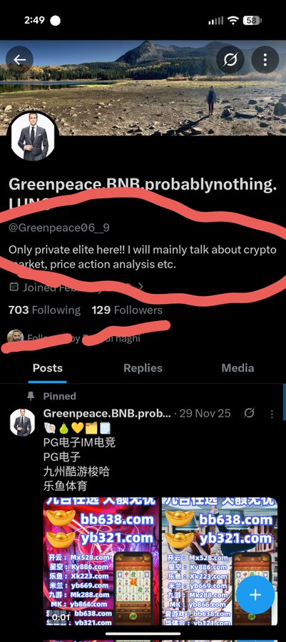 Twitter/X profile screenshot of user @Greenpeace06_9 with the bio 'Only private elite here!! I will mainly talk about crypto market, price action analysis etc.' showing 703 Following, 129 Followers, and a pinned post about PG电子/IM电竞 with gambling site promotions (bb638.com, yb321.com).