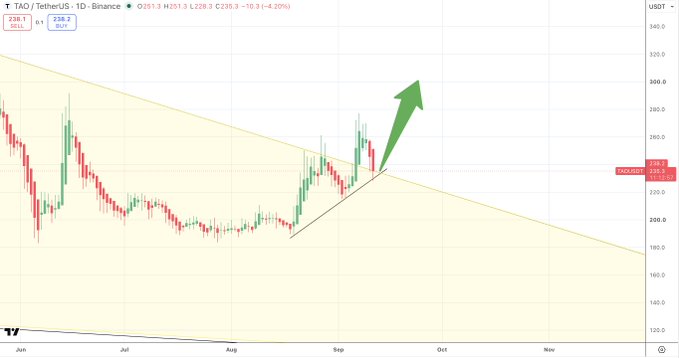 A daily TAO/USDT chart from Binance showing the token's price consolidating around $235.3 (above the H238.1 pivot) after breaking out of a descending yellow trendline, with an upward green arrow projecting a bullish continuation toward the $300 level. The candlestick structure illustrates the "sling shot" breakout pattern referenced in the post, highlighting the recent trendline breach as a potential launchpad for further upside.