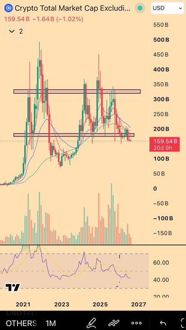 A TradingView chart of "Crypto Total Market Cap Excluding" (TOTAL3/OTHERS) in USD, showing the current price at 159.54B with a 1.64B (1.02%) decline, highlighting two key resistance zones around 200B and 300B, with price action illustrating the low daily close mentioned in the post amid visible bearish momentum.