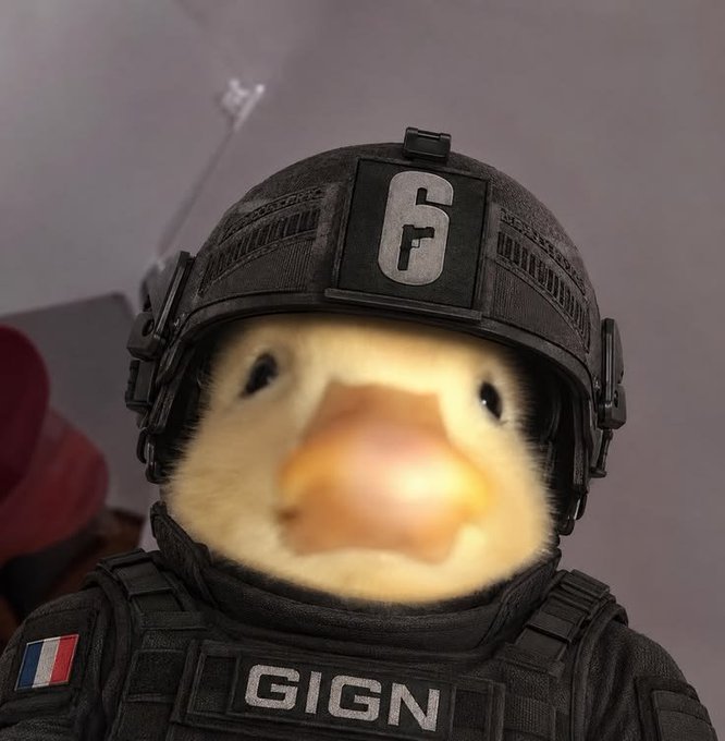 A humorous photo featuring a duck's face superimposed onto a person wearing black tactical gear labeled 'GIGN' and '6', with a French flag patch visible on the shoulder.