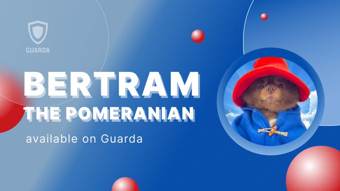 Promotional graphic featuring a Pomeranian dog mascot wearing a red hat and blue hoodie, with text reading "BERTRAM THE POMERANIAN available on Guarda" alongside the Guarda shield logo, supporting a post announcing the $BERT token's availability on Guarda Wallet for buying, swapping, storing, and managing the token.