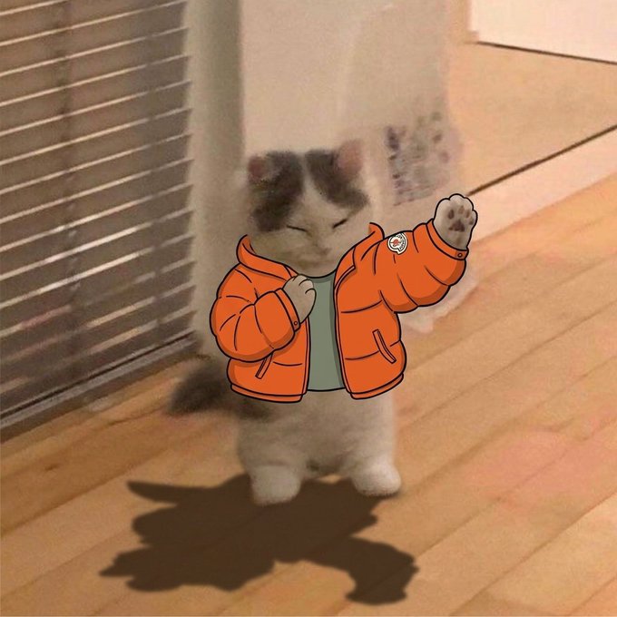 An adorable cat standing on a wooden floor wearing an illustrated orange puffer jacket, appearing to be in a fighting pose with a paw raised.