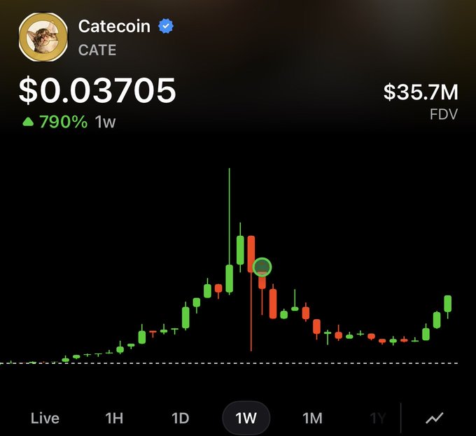 A candlestick chart of Catecoin ($CATE) is shown at $0.03705, up 790% over 1 week, with a $35.7M FDV and a circle marking a recent price level. The 1-week view displays a sharp spike followed by a decline and recovery, visually supporting the comparison in the caption to $CASHCAT's pre-Robinhood listing chart.