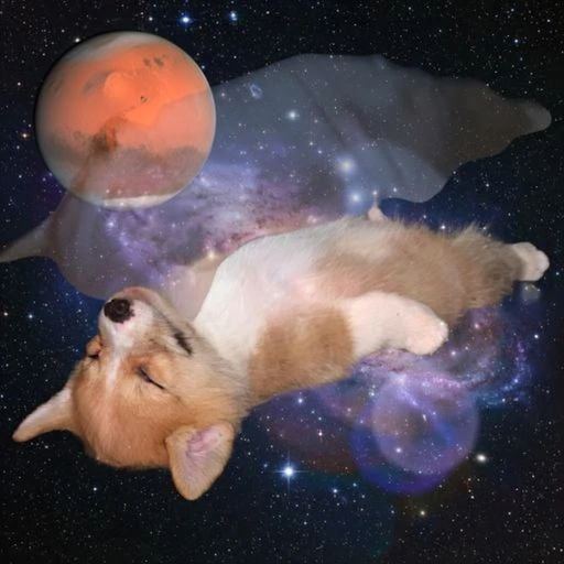 A whimsical digital composite featuring a sleeping corgi puppy floating in a starry, nebula-filled space with a translucent cosmic whale and the planet Mars in the background.