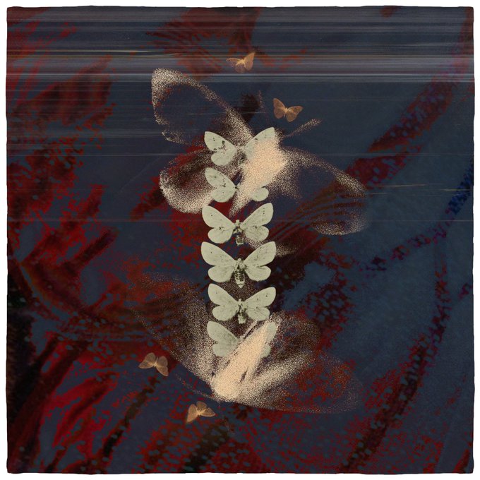 Artistic digital illustration with a dark, glitchy aesthetic featuring a vertical column of pale moths or butterflies centered over a faded figure, with red textural overlays.