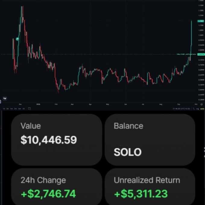 A trading chart shows the SOLO token's price recovery from a long downtrend, surging to $1.19 after stagnating near $0.85 for months. Below the chart, a portfolio dashboard displays a value of $10,446.59 with a 24h change of +$2,746.74 and an unrealized return of +$5,311.23, reflecting the dramatic comeback mentioned in the post.