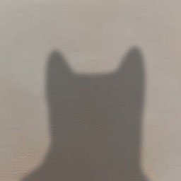A blurry, dark silhouette of a creature or cat-like figure with pointed ears is cast against a light gray surface.