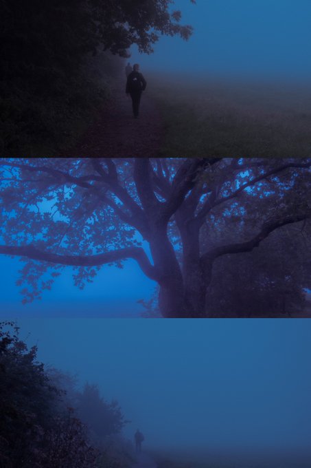 A solitary figure walks through a misty, twilight-blue path shrouded in fog, beneath the sprawling silhouette of a massive tree, and into the dim haze of an empty landscape—mirroring the post's haunting sense of an unseen, quiet storm within oneself, felt alone and surrounded by its lingering atmosphere.