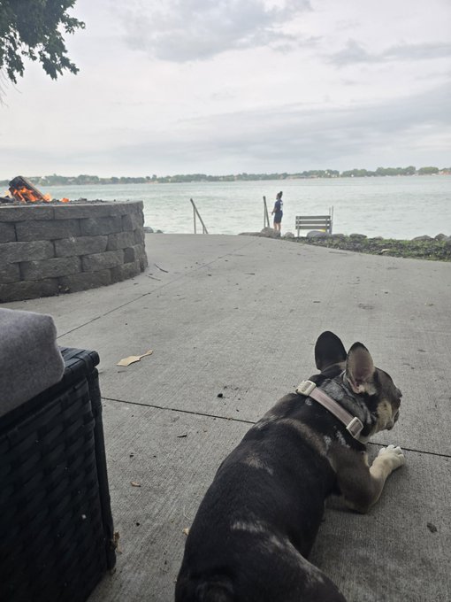 A French bulldog wearing a collar lies on a concrete patio overlooking a body of water, with a person fishing in the distance and a small fire burning in a stone pit to the left.