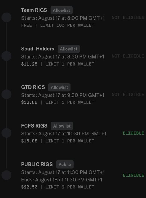 A cryptocurrency sale schedule shows rounds for Team RIGS, Saudi Holders, GTD RIGS, FCFS RIGS (ELIGIBLE), and PUBLIC RIGS (ELIGIBLE) starting August 17th at various GMT+1 times, with prices ranging from FREE to $22.50.
