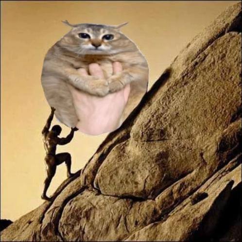 A small monkey climbs a rocky cliff toward a large hand cradling an alert gray tabby cat, creating a surreal scene against a tan sky. The image is an AI-generated or digitally composited meme-style artwork with no text or numbers visible.