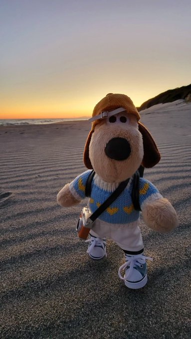 A plush dog wearing a cap, blue banana-patterned sweater, and sneakers stands on a beach at sunset, accessorized with a strap bag. The image contrasts the cozy, fun vibe with the post's message about crypto's privacy paradox—how blockchain's transparency undermines its promise of ownership.