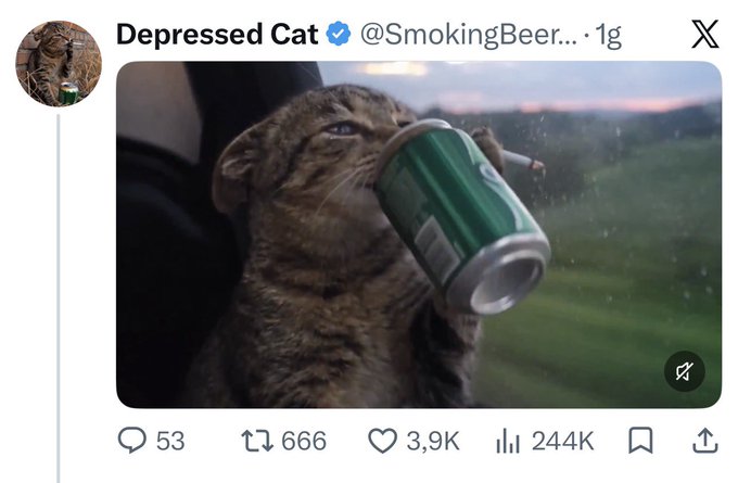 A screenshot of a tweet from 'Depressed Cat' (@SmokingBeerCat) shows a tabby cat drinking from a green beer can, with 3.9K likes and 244K views displayed.