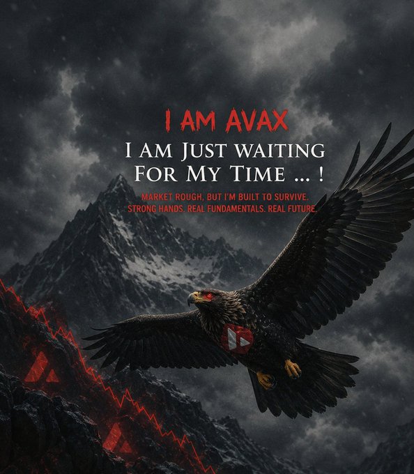 The image features a black eagle with red markings flying over a mountain range under cloudy skies. The caption of the image reads "Silent in the storm, building through the pain, my time will come." This quote is related to the concept of "AVAX" as it suggests that one should not be afraid or discouraged by challenges and difficulties but rather persevere and continue moving forward despite the storms they may face.