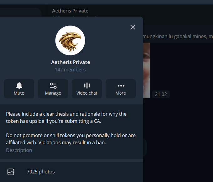 A Telegram channel preview for 'Aetheris Private' with 142 members, featuring an eagle logo, options for Mute, Manage, Video chat, and More, and rules requiring a clear thesis for CA submissions and prohibiting shilling affiliated tokens.