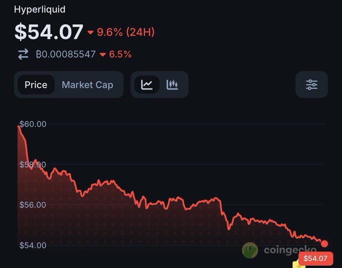 Hyperliquid (HYPE) cryptocurrency price chart from CoinGecko showing $54.07, down 9.6% in 24H, with a declining red price chart from $60 to $54.