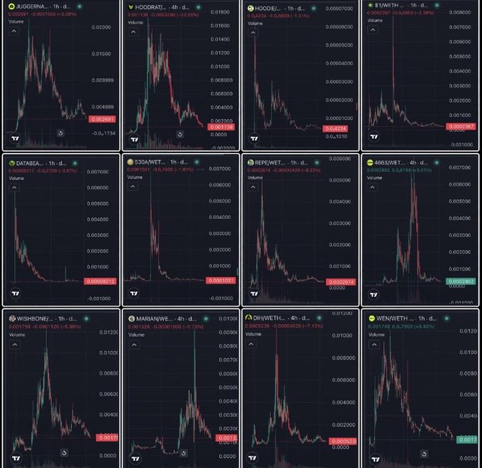 A grid of 12 cryptocurrency price charts on TradingView showing meme coins including JUGGERNAUT, HOODRAT, HOODIE, $1/WETH, DATABEA, S30A/WETH, REPE/WETH, 4663/WETH, WISHBONE/, MARAN/WE, DR/WETH, and WEN/WETH, with various 1-hour price declines displayed in green text.