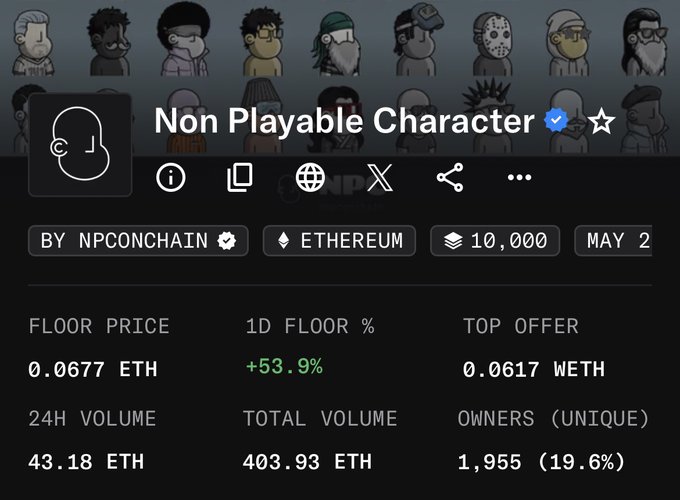 The image contains several people's portraits, each with different colors, sizes, and styles of hats. They are displayed in rows or columns against a dark background that emphasizes their details. The main focus of the photo is the title "Non Playable Character".