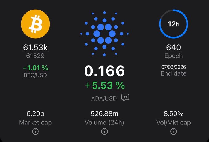 A cryptocurrency dashboard showing Bitcoin at $61,529 (+1.01%) and Cardano at 0.166 (+5.53%), with epoch 640 ending 07/03/2026.
