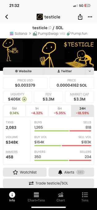 A DexScreener-style mobile screenshot for the Solana memecoin 'testicle' ($TESTICLE) on PumpSwap, showing a price of $0.003379 USD with a -18.59% 24H change and $348K volume.