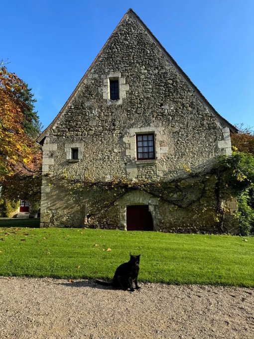 A black cat sitting on grass in front of a tall, triangular stone building with a steep peaked roof, small windows, and ivy growing on the walls, set against a clear blue sky.