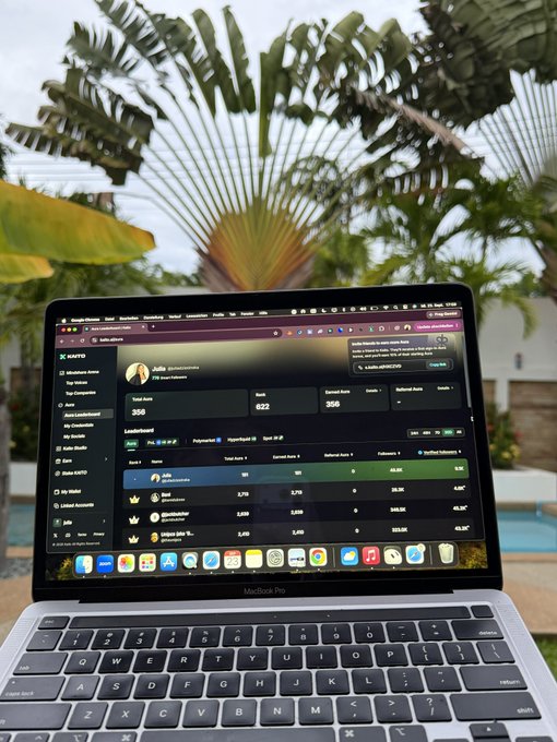 A MacBook Pro sits open in front of a tropical palm tree, displaying the HAYO platform dashboard showing various stats and token information.