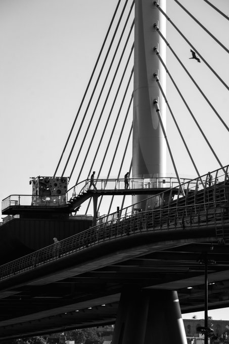 A black and white photograph captures a modern cable-stayed bridge from below, with pedestrians walking across its curved pedestrian walkway and a bird flying near the tall central pylon.