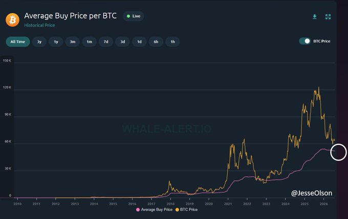 A chart from Whale-Alert.io titled "Average Buy Price per BTC" comparing historical BTC price (yellow) against the average buy price (pink) from 2010 to 2026, showing the pink average line trending downward to approximately $52K near the 1-hour mark alongside recent BTC price action around $50K. The visualization supports the post's claim that BTC has fallen below the average buy price line, a pattern seen in prior bear markets suggesting the bottom is not yet in.