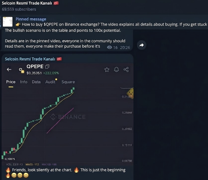 Telegram post from Selcoin Resmi Trade Kanalı (69,559 subscribers) promoting $QPEPE token on Binance, showing a +222.09% price chart climbing from $0.10875 to ~$0.35351, claiming 'This is just the beginning' with 100x potential.