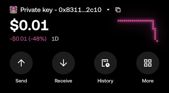 A crypto wallet interface displays a 'Private key - 0x8311...2c10' address with a balance of '$0.01', showing a daily decrease of 48%, with buttons for Send, Receive, History, and More.
