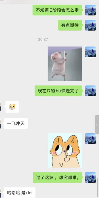 A Chinese chat exchange where friends share excited messages like "好了了一些不知道E阶段会怎么走" and "过了这波，想穷都难," alongside a meme of a cat climbing a wall and a cheering cartoon cat. The conversation humorously mirrors the post's caption about "nerds checking answers with each other," as the friends enthusiastically discuss progress through stages (D and E) and celebrate passing a wave, like students comparing test results.