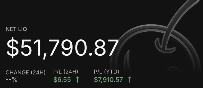 A dark dashboard interface displays 'NET LIQ $51,790.87', with 'CHANGE (24H) --%', 'P/L (24H) $6.55', and 'P/L (YTD) $7,910.57' shown in green text.