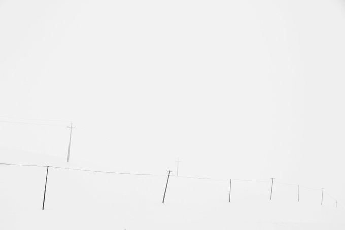 A row of utility poles with wires is barely visible against an extremely bright, white overcast sky.
