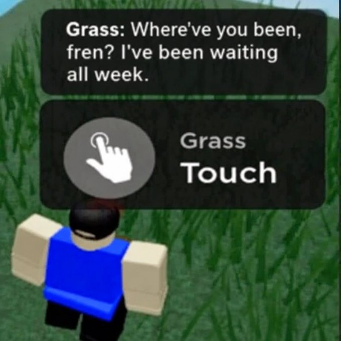 A Roblox character stands in a grassy field with two dialogue bubbles reading "Grass: Where've you been, fren? I've been waiting all week" and "Grass Touch" with a pointing hand cursor, humorously personifying the "touch grass" meme as an eager friend waiting for the player to log off and spend time outside.