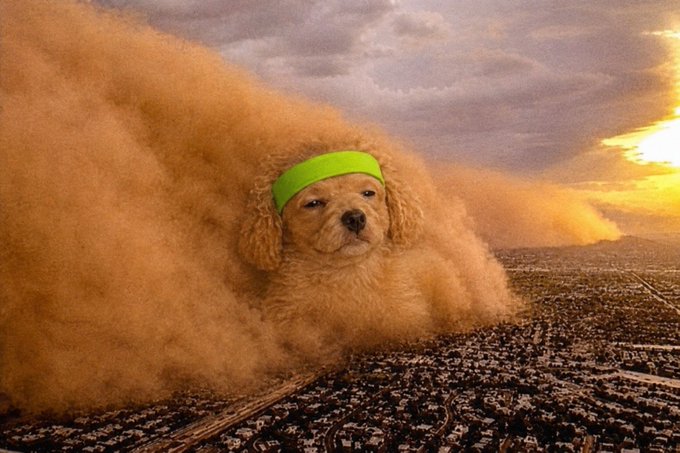 The image shows a massive dust storm engulfing a dog wearing a green headband, looming ominously over a sprawling city below. The dog appears to symbolize the market hype described in the post, with the towering dust storm representing an unstoppable force about to "take over the Robinhood chain"—meme-stocks traders' platform for retail trading.