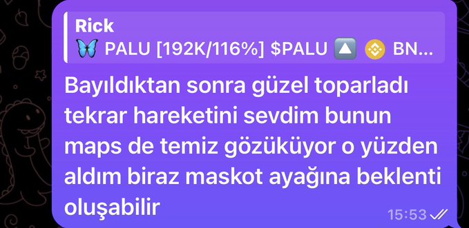 A screenshot of a Telegram message from user 'Rick' about a PALU cryptocurrency purchase, written in Turkish.