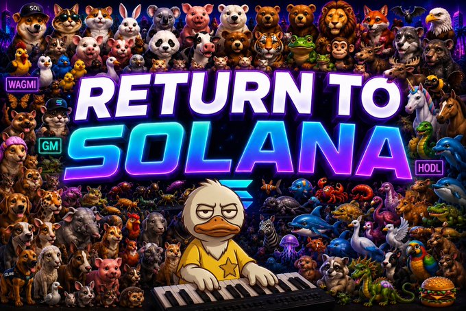 A colorful promotional graphic titled 'RETURN TO SOLANA' features a grumpy duck character playing a keyboard, surrounded by numerous animal illustrations and crypto-related tags like 'WAGMI', 'GM', and 'HODL'.