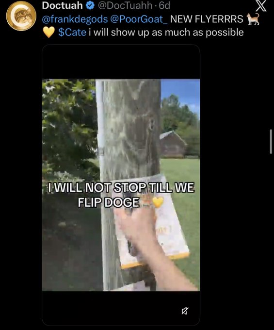 The image is a tweet from "Doctuah" (@DocTuahh) showing someone taping flyers to a utility pole, with overlaid text reading "I WILL NOT STOP TILL WE FLIP DOGE" alongside a heart emoji, promoting the $CATE token. The tweet tags @frankdegods and @PoorGoat_, and matches the post's narrative of grassroots community promotion for $CATE through physical flyer distribution.
