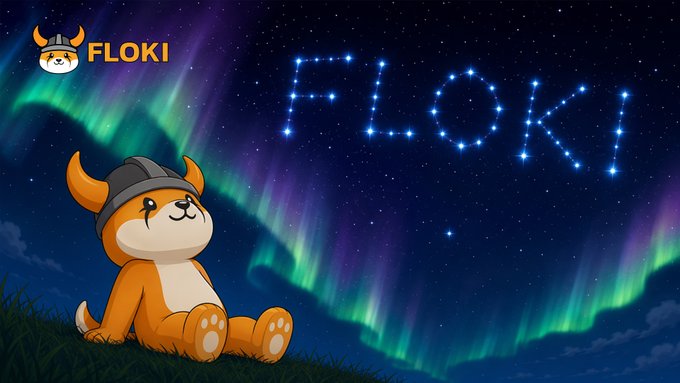 A cartoon Shiba Inu dog wearing a Viking helmet sits on grass beneath a starry sky with green and purple auroras, while the word "FLOKI" appears both as a constellation formed by stars and in the top-left logo. The serene, contemplative scene mirrors the post's reflective "And I think to myself..." caption, capturing a peaceful, dreamlike moment under the northern lights.