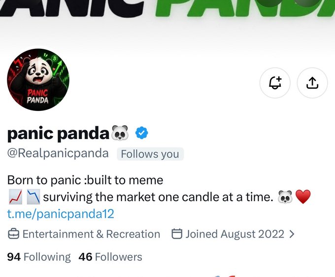 A Twitter/X profile for 'panic panda 🐼' (@Realpanicpanda) with the bio 'Born to panic :built to meme 📈📉 surviving the market one candle at a time.🐼❤️ t.me/panicpanda12' under the banner 'PANIC PANDA'.
