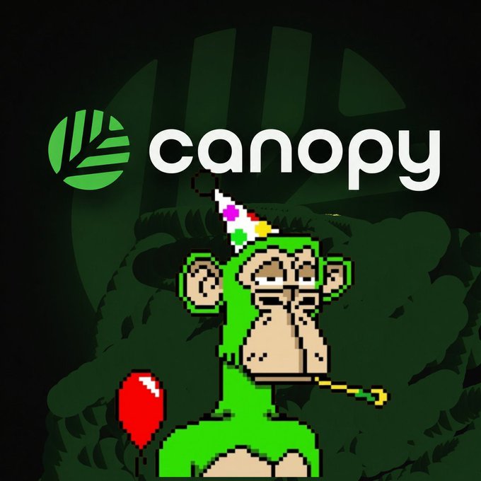 The image features a cartoon monkey wearing a party hat, surrounded by balloons. The monkey appears to be celebrating with a birthday party theme. The background of the image is black, which contrasts with the colorful elements like the balloons and the monkey's hat. The text "CNPY" can also be seen in the image, possibly indicating that this is an advertisement or promotional material for Canopy, a blockchain company.