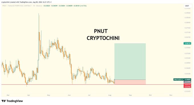 A TradingView price chart for PNUT crypto token shows price movements from March to November 2025 with a price level around 0.04500, and the text 'PNUT CRYPTOCHINI' displayed in the center.